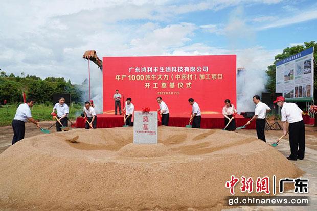 領(lǐng)導(dǎo)嘉賓為鴻利豐公司牛大力加工項(xiàng)目培土奠基。（劉爐慎 攝）
