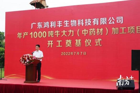 年產(chǎn)1000噸！牛大力（中藥材）加工項(xiàng)目在興寧開(kāi)工奠基